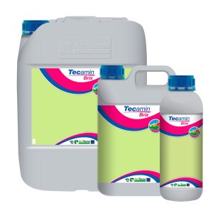 Текамін Брікс (Tecamin Brix)