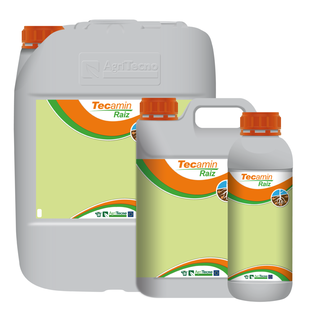 Текамін Раїз (Tecamin Raiz)