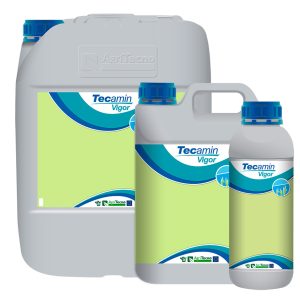 Текамін Вігор (Tecamin Vigor)