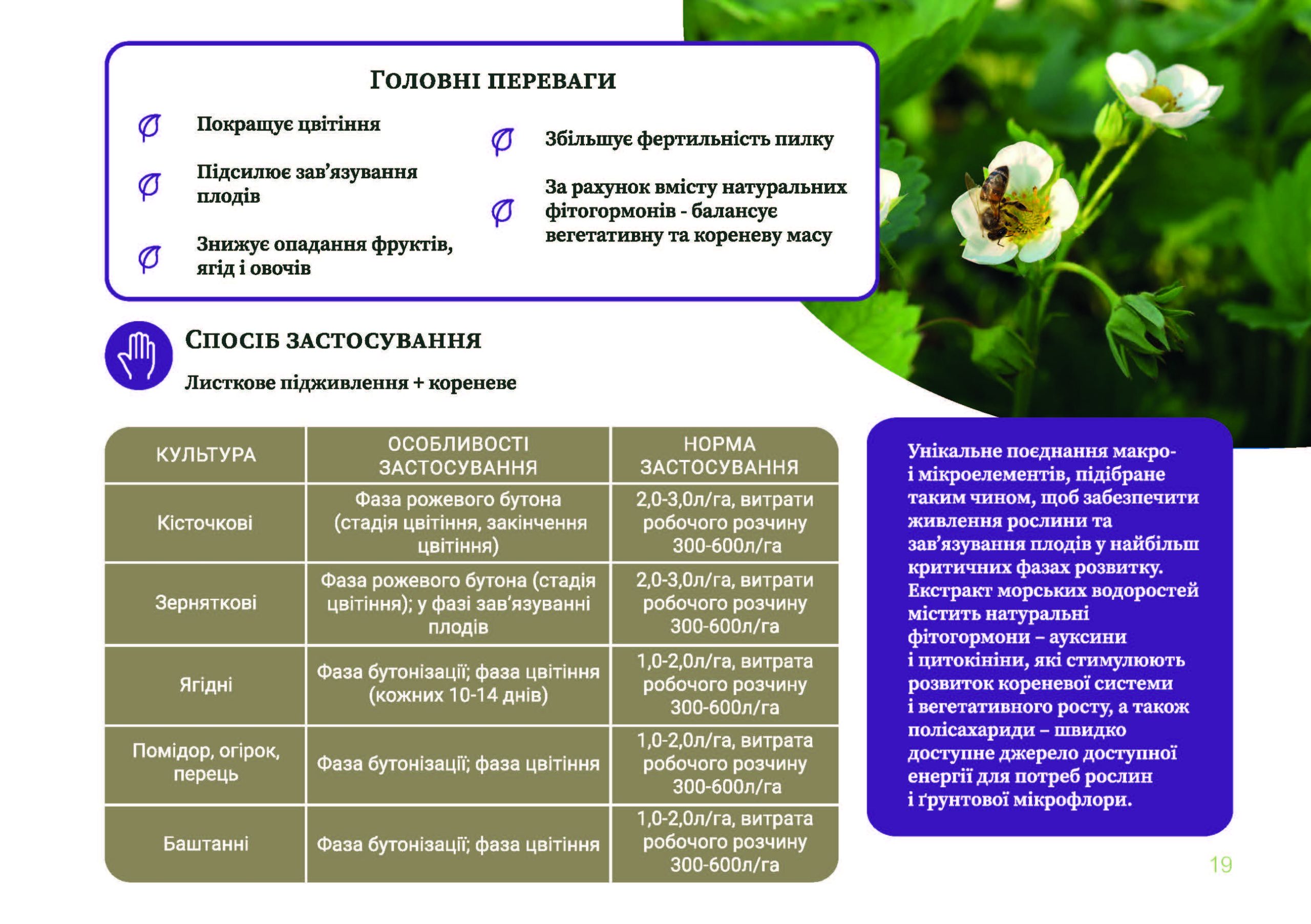 Текамін Флавер (Tecamin Flower) - Зображення 3