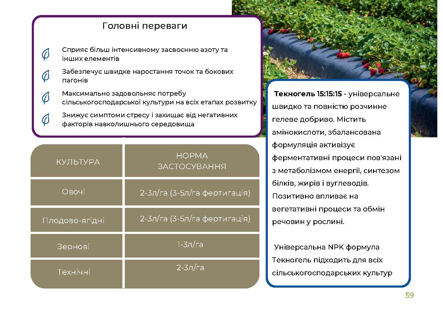Текногель Аміно 15-15-15 (TecnoGel Amino 15-15-15 Balanced) - Зображення 2