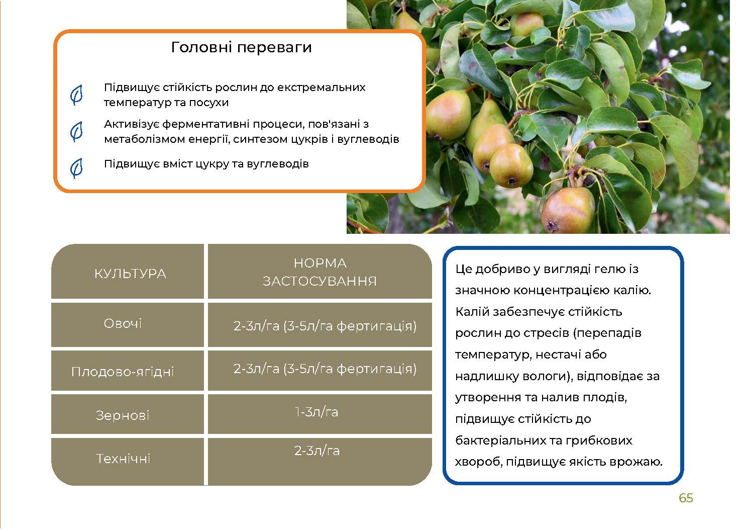 Текногель Аміно 8-4-28 (TecnoGel Amino 8-4-28 Development) - Зображення 2